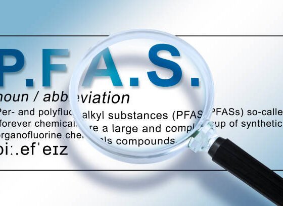 fsc search with aadhaar no