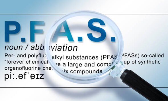 fsc search with aadhaar no