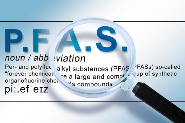 fsc search with aadhaar no