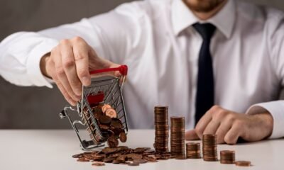 investing robthecoins