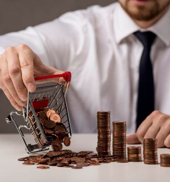 investing robthecoins
